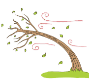 Resilience and Wellbeing